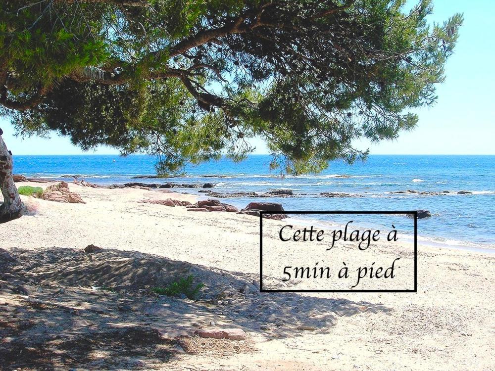 Appartement Plage Et Nature Saint-Raphaël 外观 照片